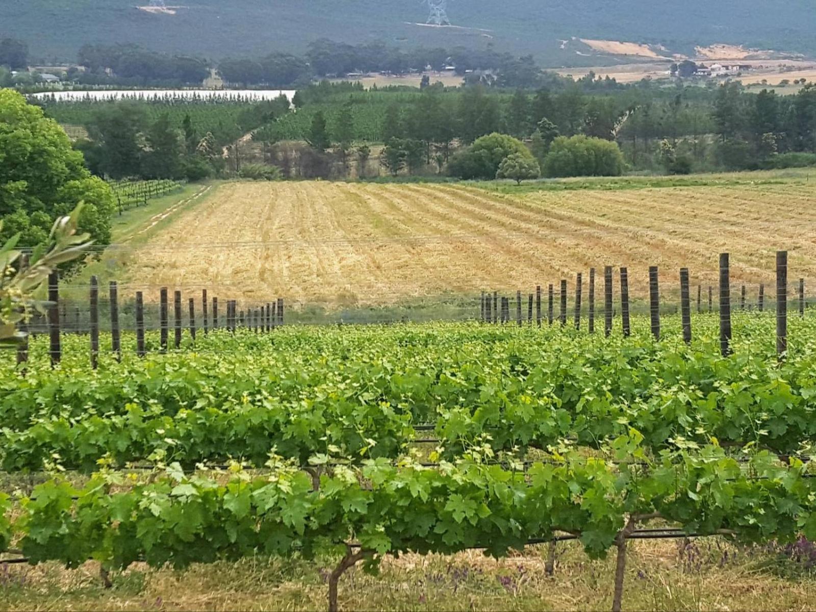 Lemberg Wine Estate Villa Tulbagh Kültér fotó